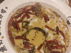 -首秀·四川料理(星耀101店)