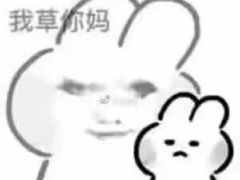 -海底捞火锅(宝龙广场夜宵主题店)