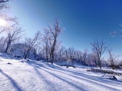 -中旅松花湖滑雪场