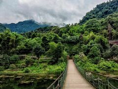 -峨眉山风景名胜区