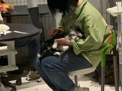 -電力宠物公司(武定路店)