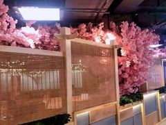 -凯德MALL(望京店)