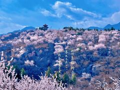 -白水寺森林公园