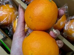-好爸爸(印象城旗舰店)