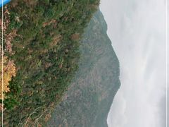 -四明山国家森林公园