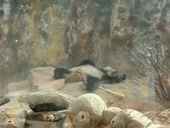 -青藏高原野生动物园