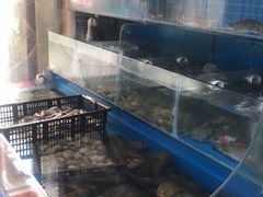 水产区-云南巷海鲜大咖·可加工海鲜