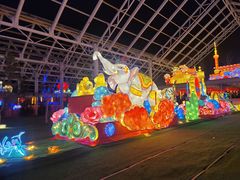 -南宫五洲植物乐园