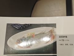 -紫光园(全国总店)