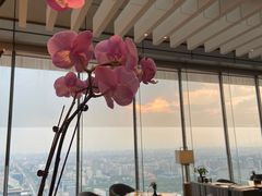 -北京柏悦酒店·锦庭餐厅Dining Room