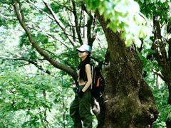 -沂蒙山旅游区云蒙景区(蒙山国家森林公园)