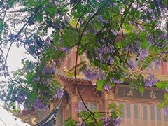 -龙潭水乡