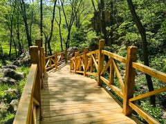 -大岭沟猕猴桃谷风景区