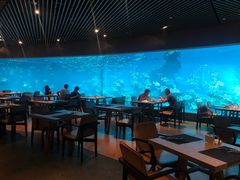 大堂-海棠湾洲际-涛·海底餐厅·美人鱼·自助餐·海底隧道
