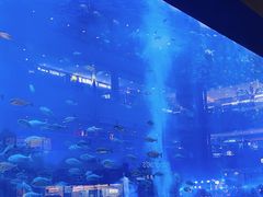 -成都浩海立方海洋公园