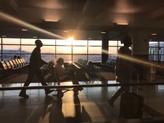 -约翰·菲茨杰拉德·肯尼迪国际机场