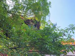 -天津盘山风景名胜区