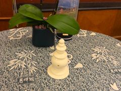 -湖畔居茶楼(湖滨店)