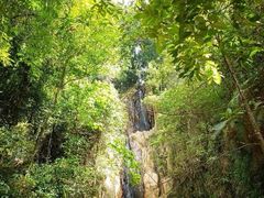 -红山村