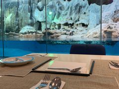 -帝企鹅自助餐厅•儿童岛•真企鹅(长隆企鹅酒店)