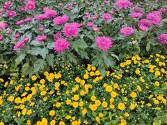 -汇龙潭