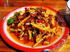 -柴窝堡22号辣子鸡·传承新疆菜