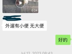 -瑞派天使宠物医院·神经外科·骨科·核磁(洛川中路店)