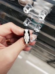点击看大图 -JustNail甲思美甲
