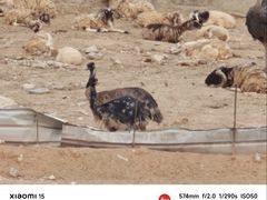 -泉州海丝野生动物世界