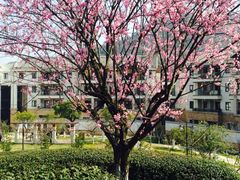 iphone_upload_pic-余姚阳明温泉山庄