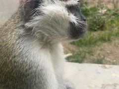 -成都动物园