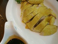 上海白斩鸡-金枝玉叶上海人家食府(三里河店)