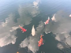 -茵特拉根酒店·西餐厅