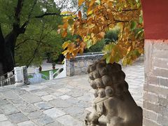 -红螺寺