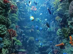 -海合安青岛极地海洋公园