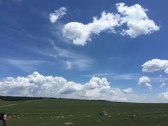 -空中草原