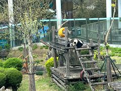 -大连森林动物园