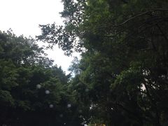 -真功夫(福中路店)