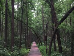 -同里国家湿地公园