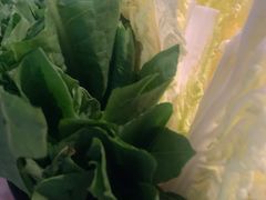 -潮发潮汕牛肉店(龙洞店)