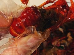 -文和友老长沙龙虾馆(化龙池店)