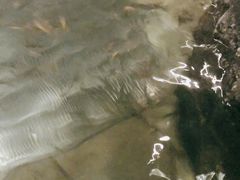 -天目湖涵田半山温泉水乐园