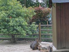 -苏州太湖西山岛开心农场