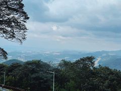 -黄埔油麻山森林公园