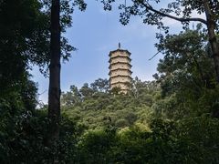 -深圳国际园林花卉博览园