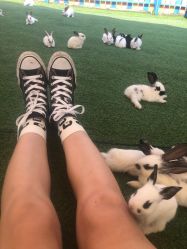 -萌宠亲子动物乐园(槐房万达店)