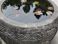 -都江堰普照寺