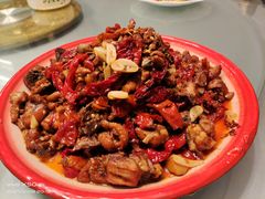 -柴窝堡22号辣子鸡·传承新疆菜