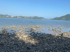 -盐洲岛
