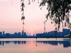 -天鹅湖体育公园